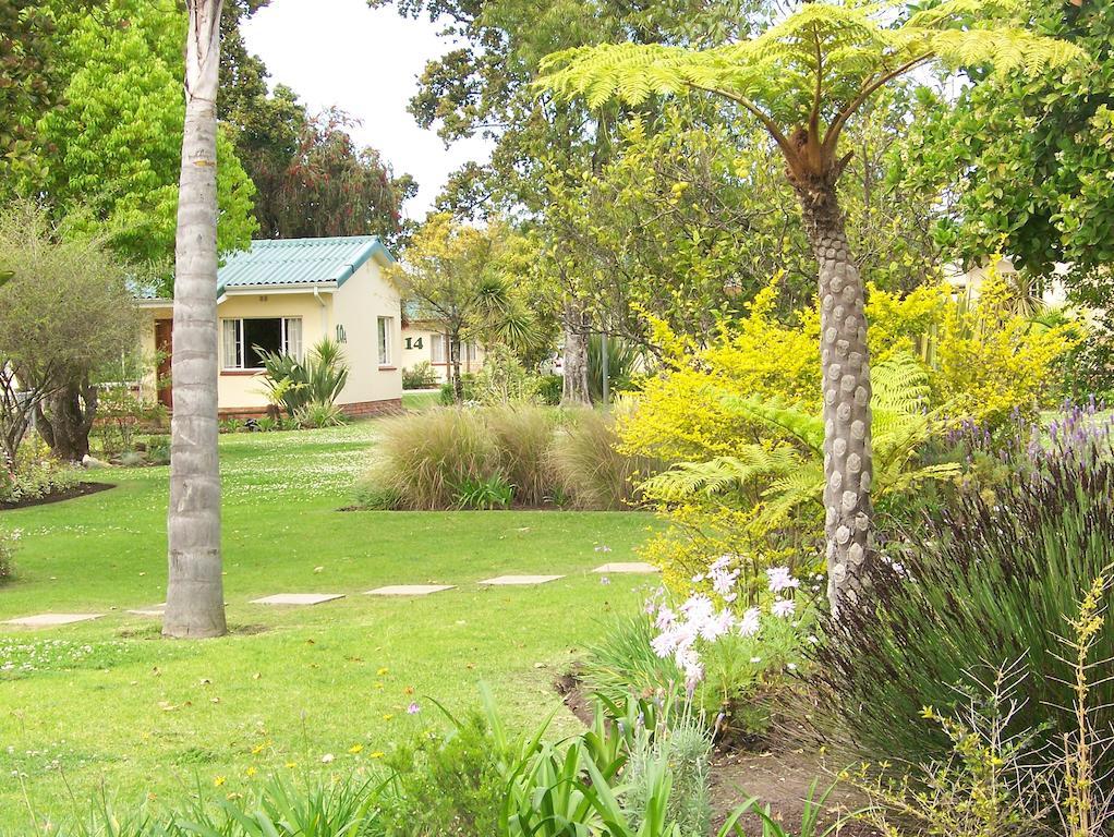 Pine Lodge Resort George Luaran gambar